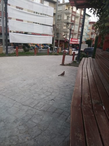 Demirkapı Elektrikçi